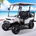 2025 Denago Ev Nomad XL White