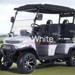 2025 Denago Ev Rover XL White