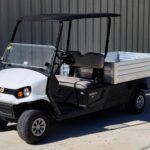 2025 Cushman Hauler 1200 EFI Gas Bright White