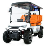 2025 DACH Vehicles Apollo White-Caramel