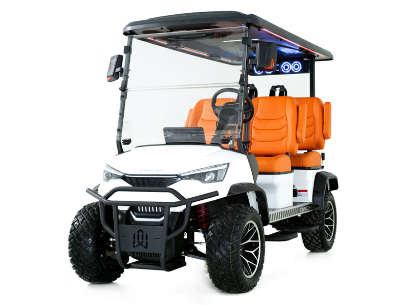 2025 DACH Vehicles Apollo White-Caramel image