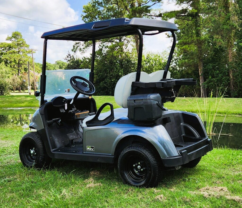 2021 E-Z-GO Freedom RXV ELiTE 2.0 Platinum image