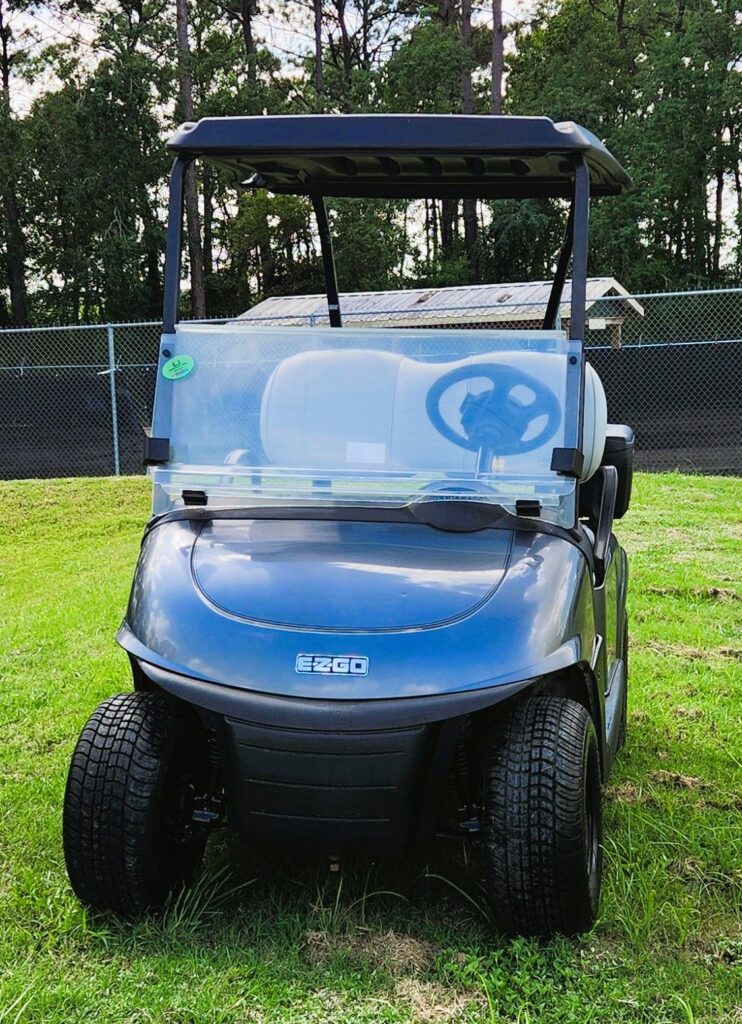 2021 E-Z-GO Freedom RXV ELiTE 2.0 Platinum image