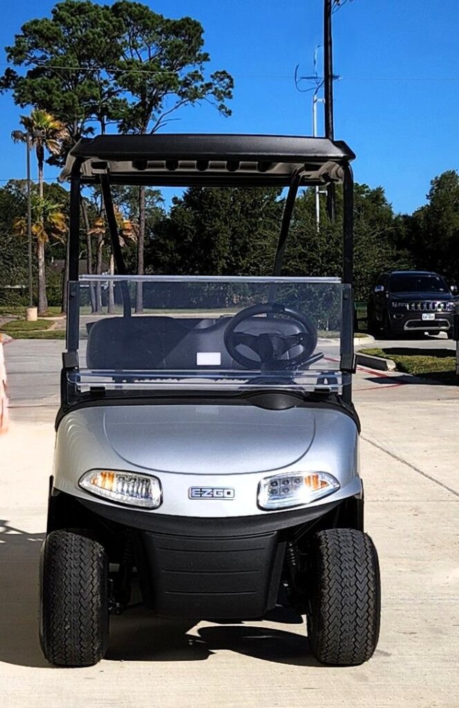 2021 E-Z-GO Freedom RXV ELiTE 2.0 Silver image