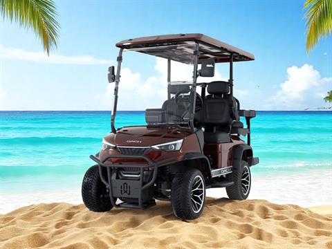 2025 DACH EV Falcon Explorer 2+2 Brown image