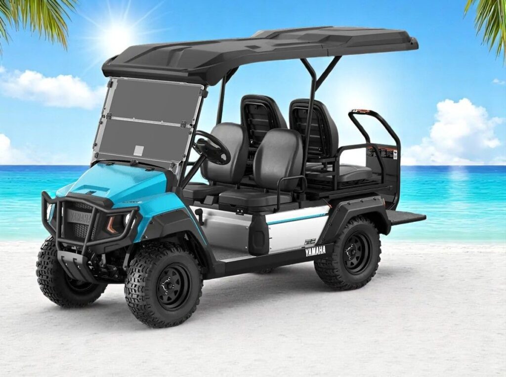 2025 Yamaha UMAX 2+2 Gas EFI image