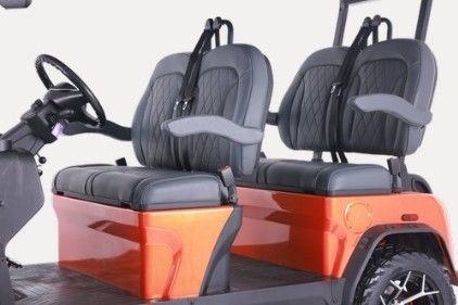 2025 Denago EV Rover Xl Black image